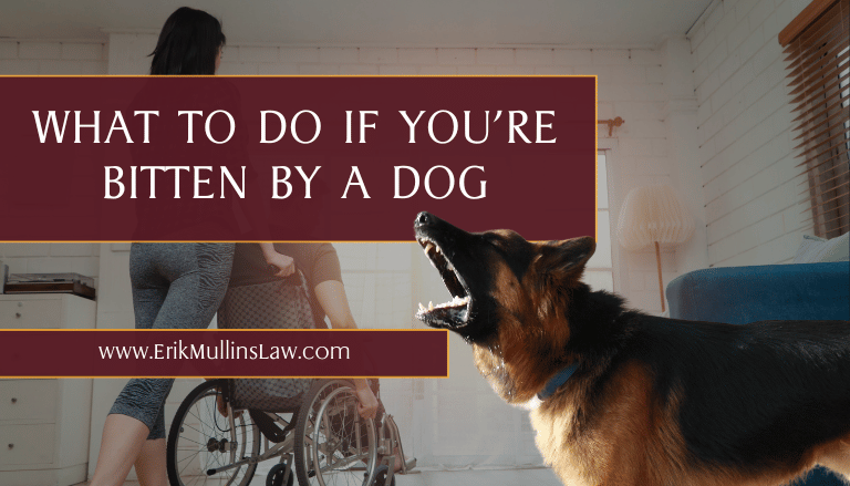 What-to-Do-If-You're-Bitten-by-a-Dog